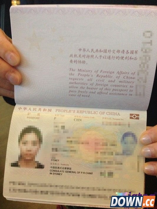 中国电子护照申请办理事项