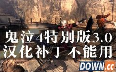 鬼泣4特别版3.0汉化补丁不能用解决办法
