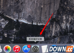 苹果Mac DNS怎么设置?