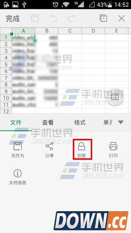 手机WPS Office怎么给XLS文档加密