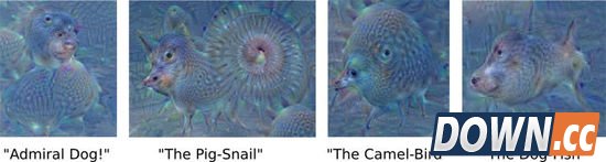 Google 图像识别 AI 眼中的世界