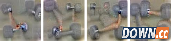 Google 图像识别 AI 眼中的世界