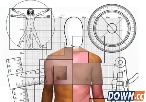 给体型打分的网站boywhat