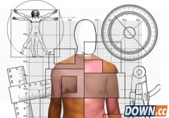 boywhat：给体型打分的网站 准确度95%