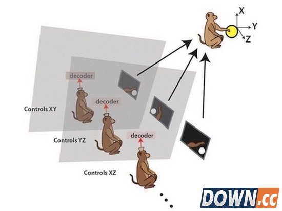 黑科技鼠脑计算机