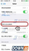 iPhone怎么查看和删除Safari保存的密码