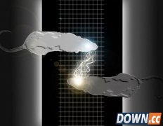 黑科技：鼠脑造就有机计算机