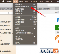 Safari浏览器无痕浏览怎么设置