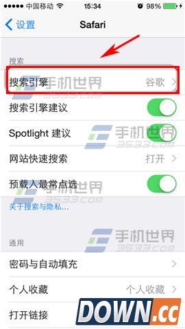 iPhone怎么更换默认搜索引擎