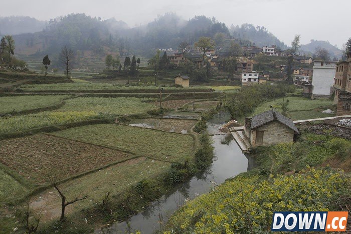 PS怎么把照片调成油画效果