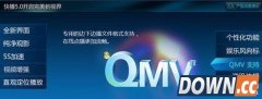 QMV格式是什么文件