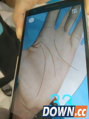 支付宝“掌纹”支付：“刷手”即可购物