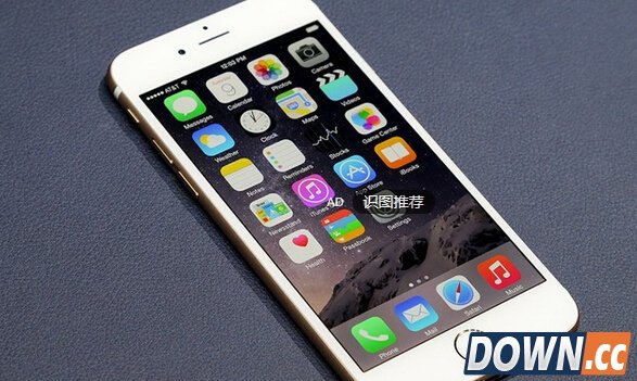 博尔特360万美元买奢侈iPhone 6