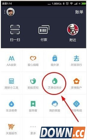 芝麻信用积分怎么补全学历信息