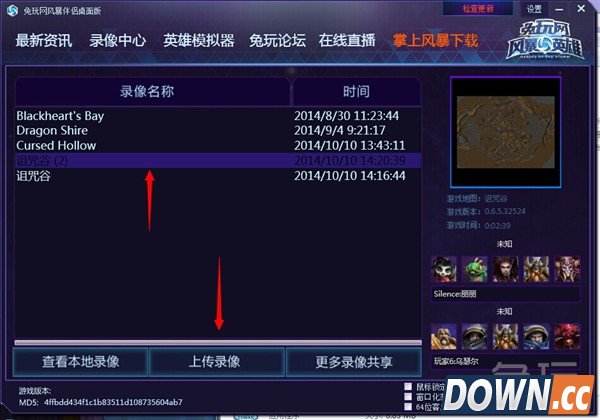 风暴英雄伴侣使用教程