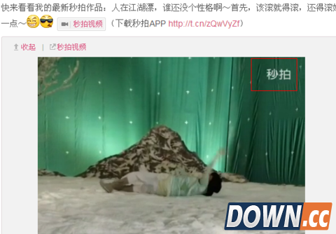 微博秒拍视频怎么下载到电脑