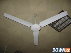 屋内旋转吊扇突然坠落 男子大悲剧