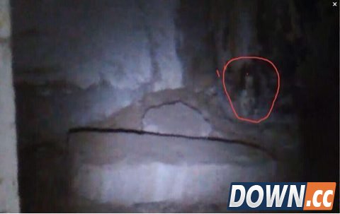 斗鱼通灵阿科哥直播通灵术