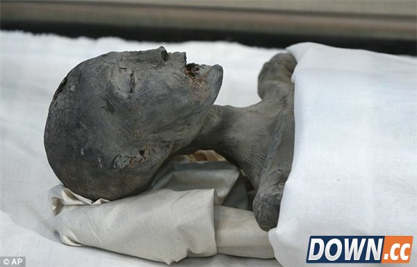 考古学家发现疑似图坦卡蒙生母墓