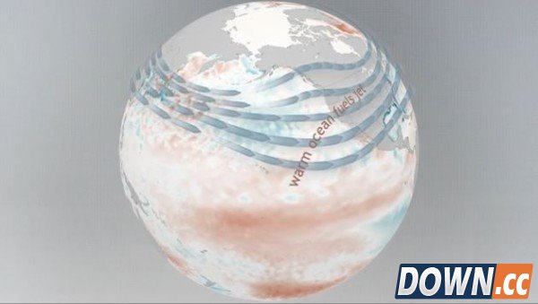 今年厄尔尼诺获名“李小龙”