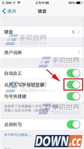 iPhone怎么开启大写输入锁定