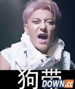 狗带什么意思什么梗?黄子韬狗带出处来源