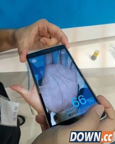 支付宝掌纹支付是真的吗