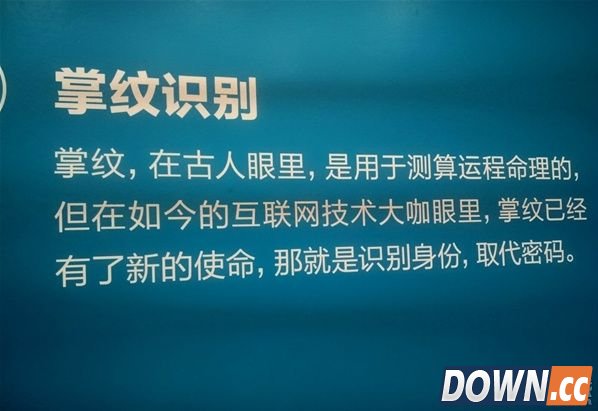 支付宝掌纹支付是真的吗