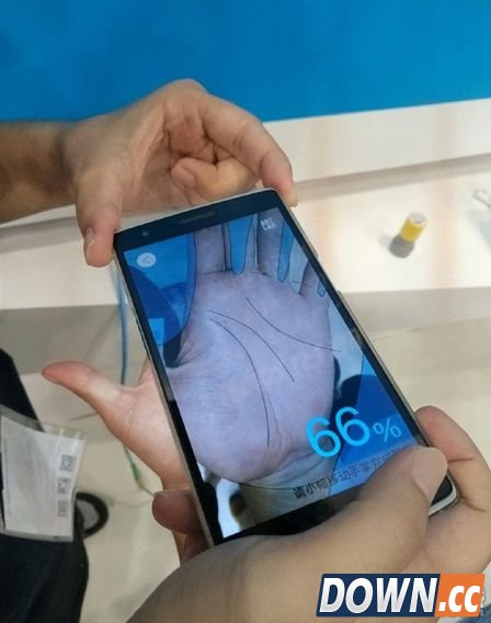 支付宝掌纹支付是真的吗