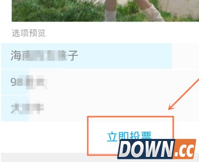 手机QQ群怎么发起投票