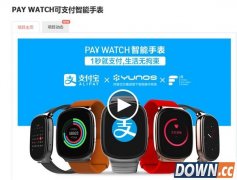 699元起 支付表真的来了：无需网络1秒付款