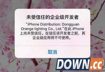 iPad显示未受信任的企业级开发者怎么办