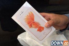 暗访中关村卖场：iPhone 6s遇冷 最低平价出