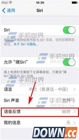 iPhone6S siri怎么静音