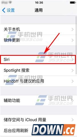 iPhone6S siri怎么静音