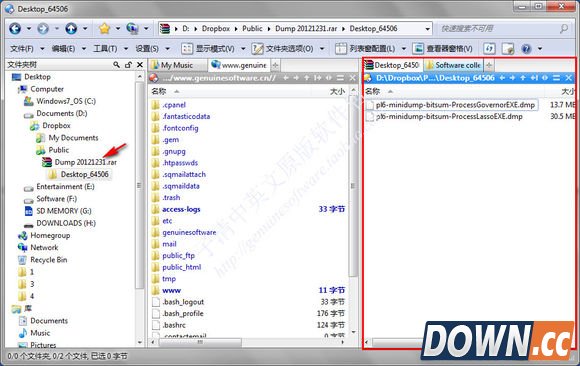 Directory Opus使用教程