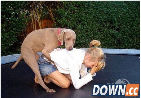 腾讯黄图鉴别系统上线