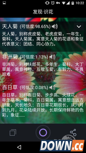 拍照识花APP叫什么