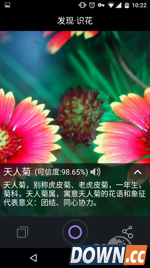 拍照识花APP叫什么