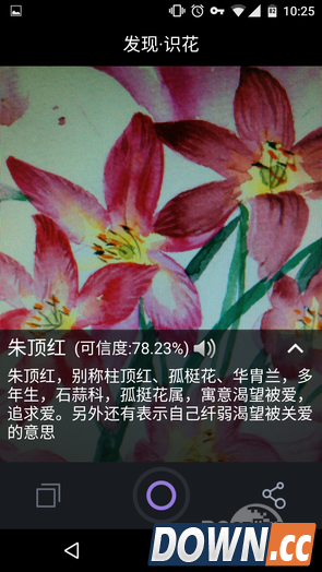 拍照识花APP叫什么