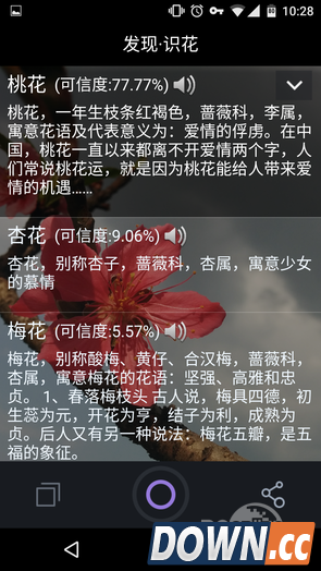 拍照识花APP叫什么