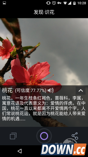 拍照识花APP叫什么