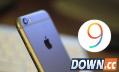 iOS9越狱后无法使用指纹支付 越狱后使用指纹支付的方法