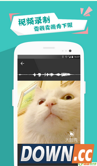 大咖秀和小咖秀有什么区别