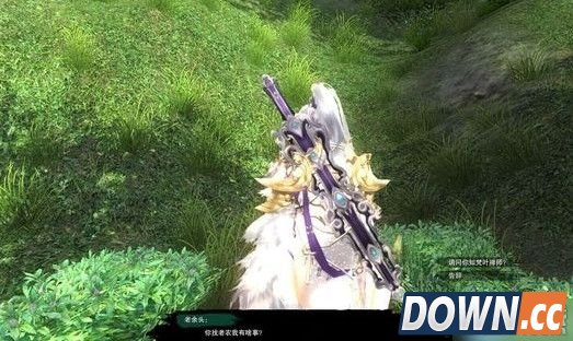 剑三怎么触发宠物清茗小龟奇遇