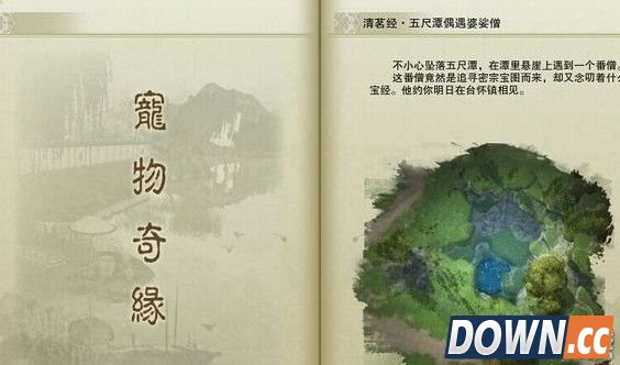 剑三怎么触发宠物清茗小龟奇遇