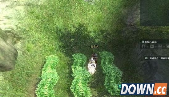 剑三怎么触发宠物清茗小龟奇遇