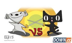 死磕阿里巴巴 京东双十一也要办晚会