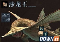 怪物猎人ol沙龙王怎么打 沙龙王打法攻略