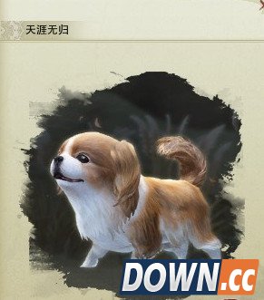 剑三天涯无归宠物奇遇触怎么触发